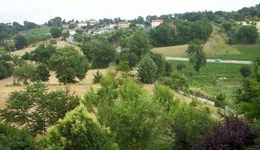 Aste giudiziarie immobiliari online - 7.0