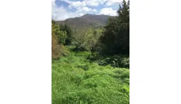 Aste giudiziarie immobiliari online - 8.0