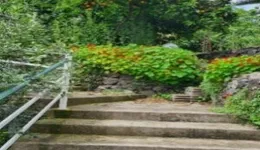 Aste giudiziarie immobiliari online - 4.0