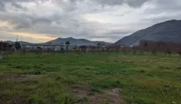 Aste giudiziarie immobiliari online - 12.0