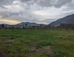 Aste giudiziarie immobiliari online - 11.0