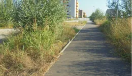 Aste giudiziarie immobiliari online - 12.0