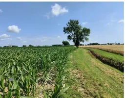 Aste giudiziarie immobiliari online - 7.0