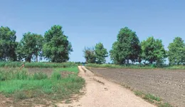 Aste giudiziarie immobiliari online - 8.0