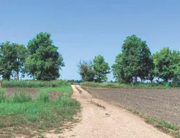 Aste giudiziarie immobiliari online - 8.0