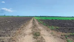 Aste giudiziarie immobiliari online - 3.0