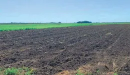 Aste giudiziarie immobiliari online - 11.0