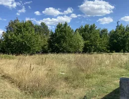 Aste giudiziarie immobiliari online - 5.0