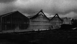 Aste giudiziarie immobiliari online - 10.0