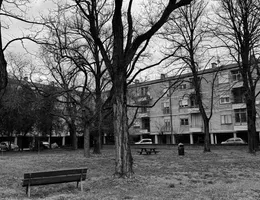 Aste giudiziarie immobiliari online - 2.0