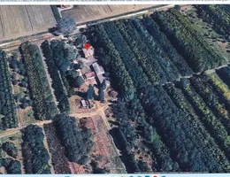 Aste giudiziarie immobiliari online - 3.0