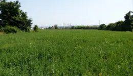Aste giudiziarie immobiliari online - 1.0