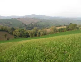 Aste giudiziarie immobiliari online - 2.0