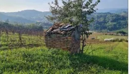 Aste giudiziarie immobiliari online - 7.0