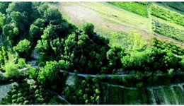 Aste giudiziarie immobiliari online - 9.0