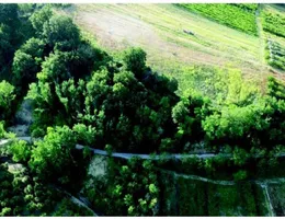 Aste giudiziarie immobiliari online - 3.0