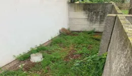 Aste giudiziarie immobiliari online - 4.0