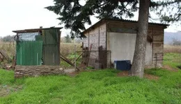 Aste giudiziarie immobiliari online - 1.0