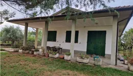 Aste giudiziarie immobiliari online - 9.0