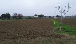 Aste giudiziarie immobiliari online - 9.0