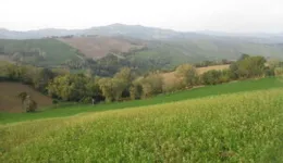 Aste giudiziarie immobiliari online - 4.0