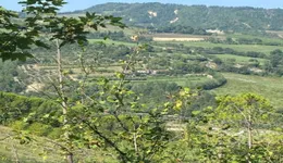 Aste giudiziarie immobiliari online - 2.0