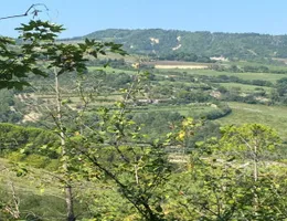 Aste giudiziarie immobiliari online - 2.0