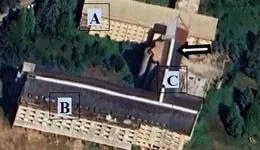 Aste giudiziarie immobiliari online - 1.0