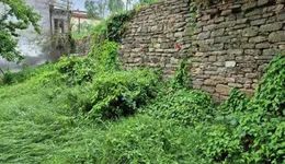 Aste giudiziarie immobiliari online - 1.0