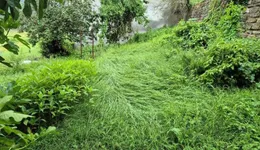 Aste giudiziarie immobiliari online - 4.0