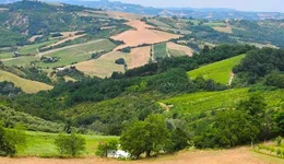 Aste giudiziarie immobiliari online - 10.0