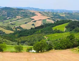 Aste giudiziarie immobiliari online - 6.0