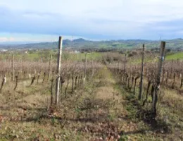 Aste giudiziarie immobiliari online - 3.0