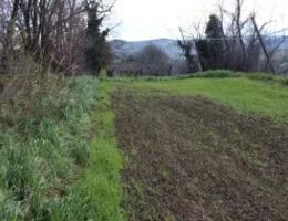 Aste giudiziarie immobiliari online - 12.0