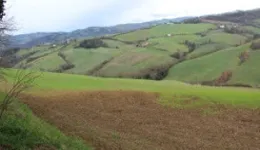 Aste giudiziarie immobiliari online - 4.0