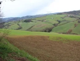 Aste giudiziarie immobiliari online - 4.0