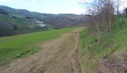 Aste giudiziarie immobiliari online - 6.0