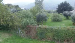 Aste giudiziarie immobiliari online - 5.0