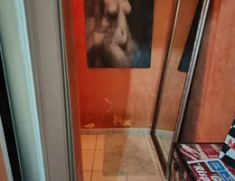 Aste giudiziarie immobiliari online - 6.0