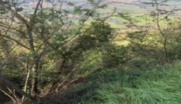 Aste giudiziarie immobiliari online - 9.0