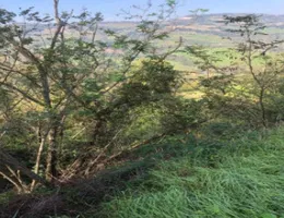 Aste giudiziarie immobiliari online - 7.0