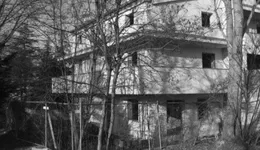 Aste giudiziarie immobiliari online - 6.0