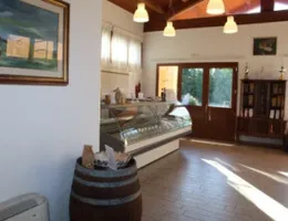 Aste giudiziarie immobiliari online - 5.0