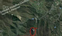 Aste giudiziarie immobiliari online - 9.0