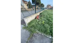Aste giudiziarie immobiliari online - 12.0