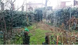 Aste giudiziarie immobiliari online - 1.0