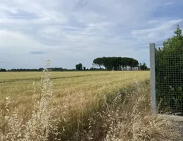 Aste giudiziarie immobiliari online - 8.0