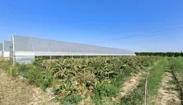 Aste giudiziarie immobiliari online - 11.0