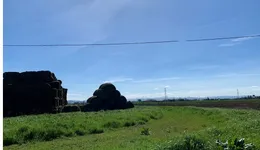 Aste giudiziarie immobiliari online - 6.0