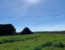 Aste giudiziarie immobiliari online - 11.0